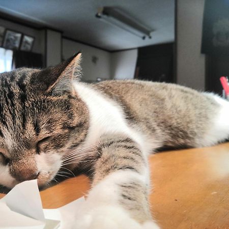 Tiny GuestHouse Umekoji 梅小路 京都 外观 照片